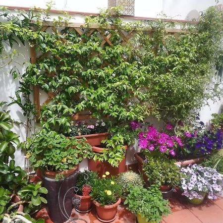 At Kalsa Quiet Flowered Terrace! Free Parking! Ideal For Remote Working! Палермо Екстериор снимка