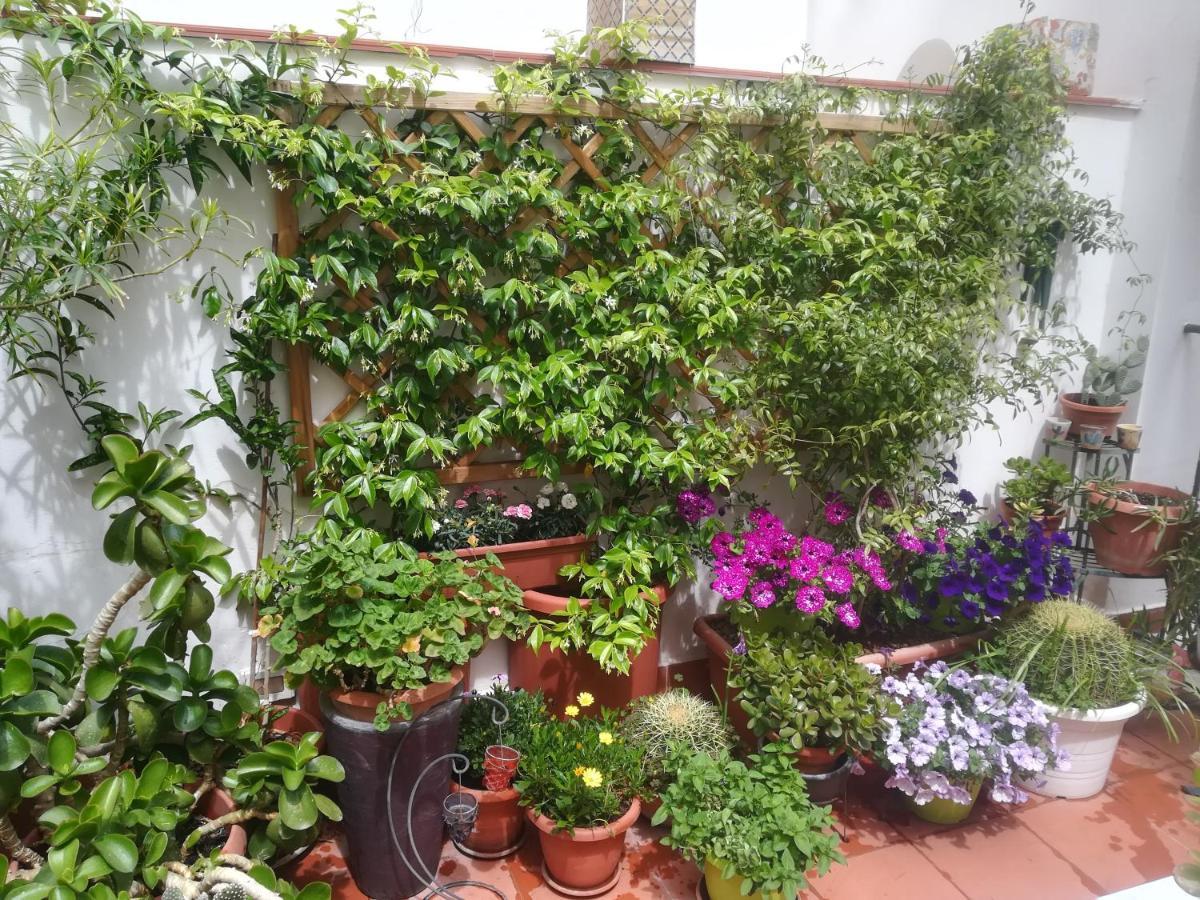 At Kalsa Quiet Flowered Terrace! Free Parking! Ideal For Remote Working! Палермо Екстериор снимка